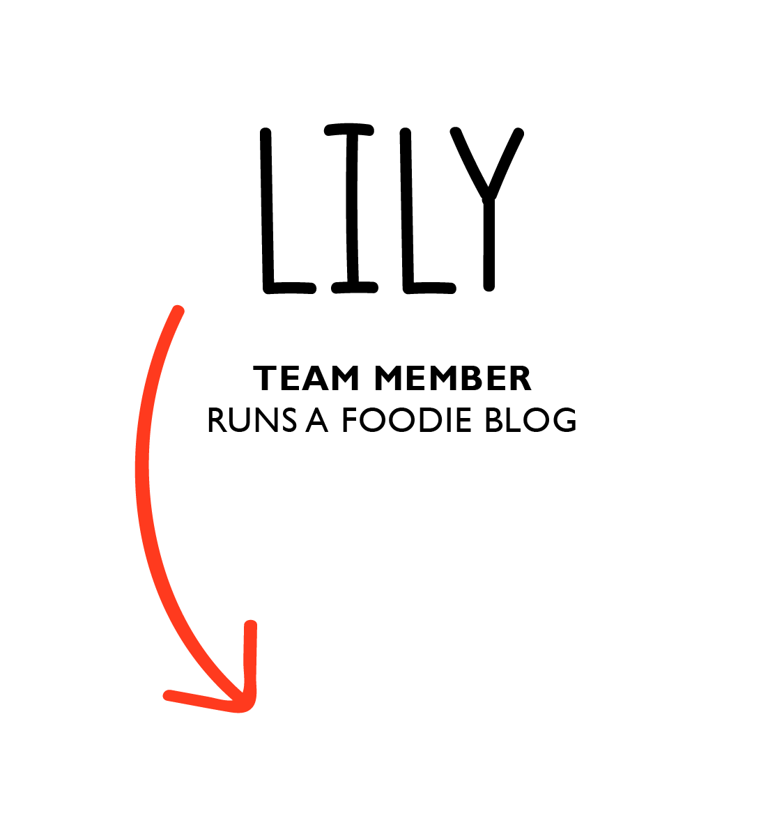 Piada Careers Home page